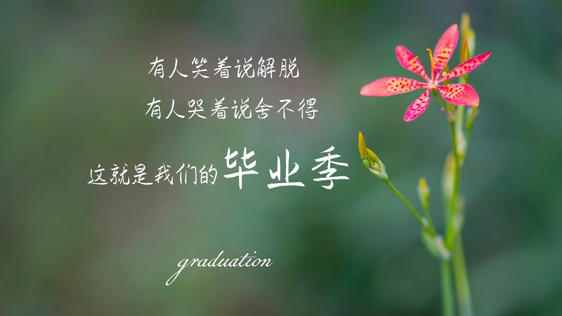 开云体育APP下载-《电竞行业高端会议：行业领袖共话未来》，电竞行业大事