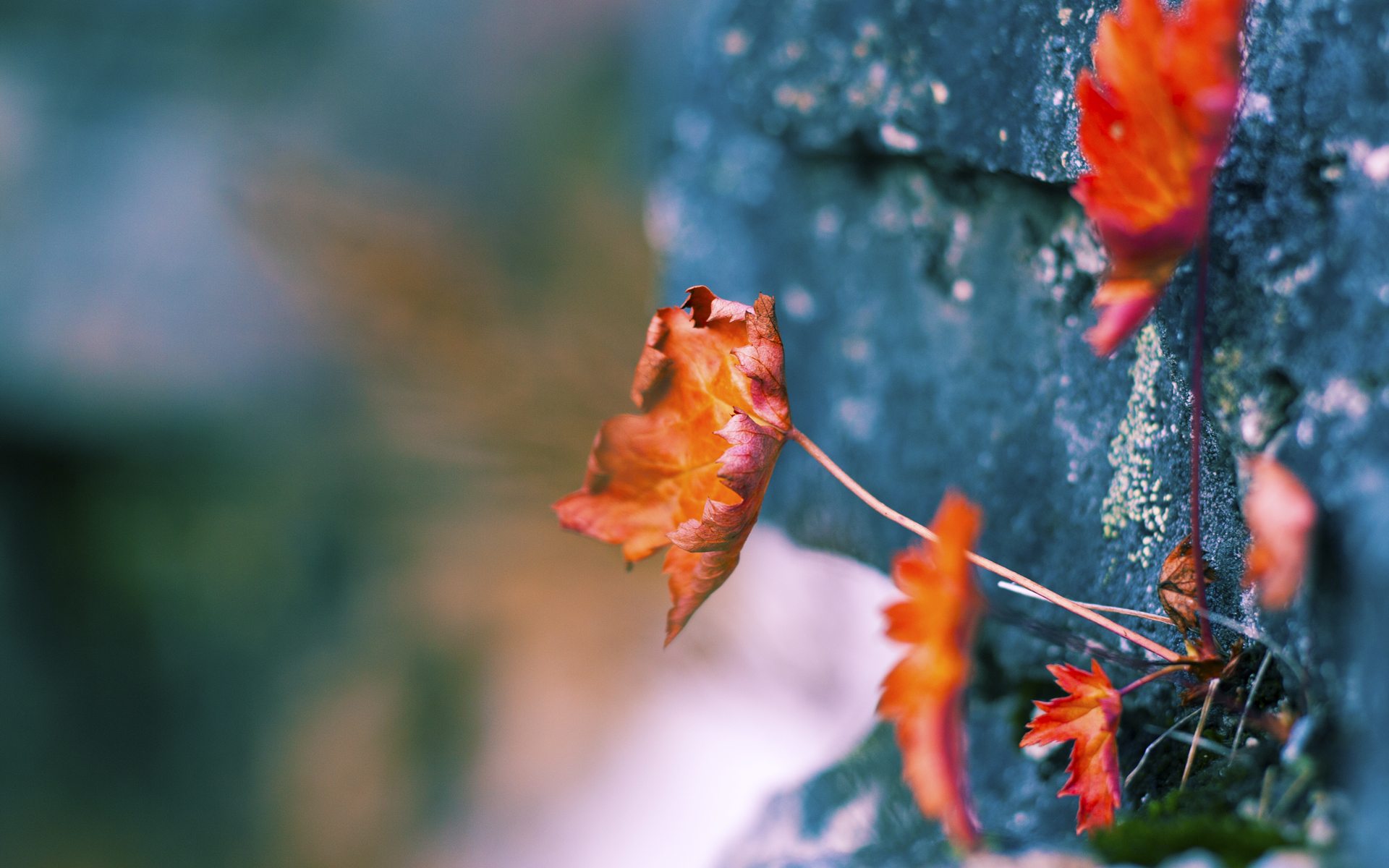 开云官网-温斯坦决赛数据解析：前半程控制得当，温斯坦公司