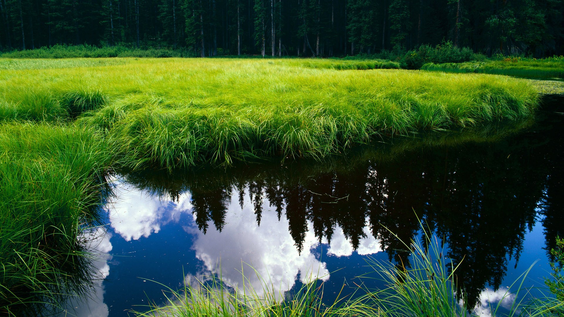 开云体育在线赛事直播-特色足球文化展在多地巡展，弘扬地方特色体育文化，足球特色示范园