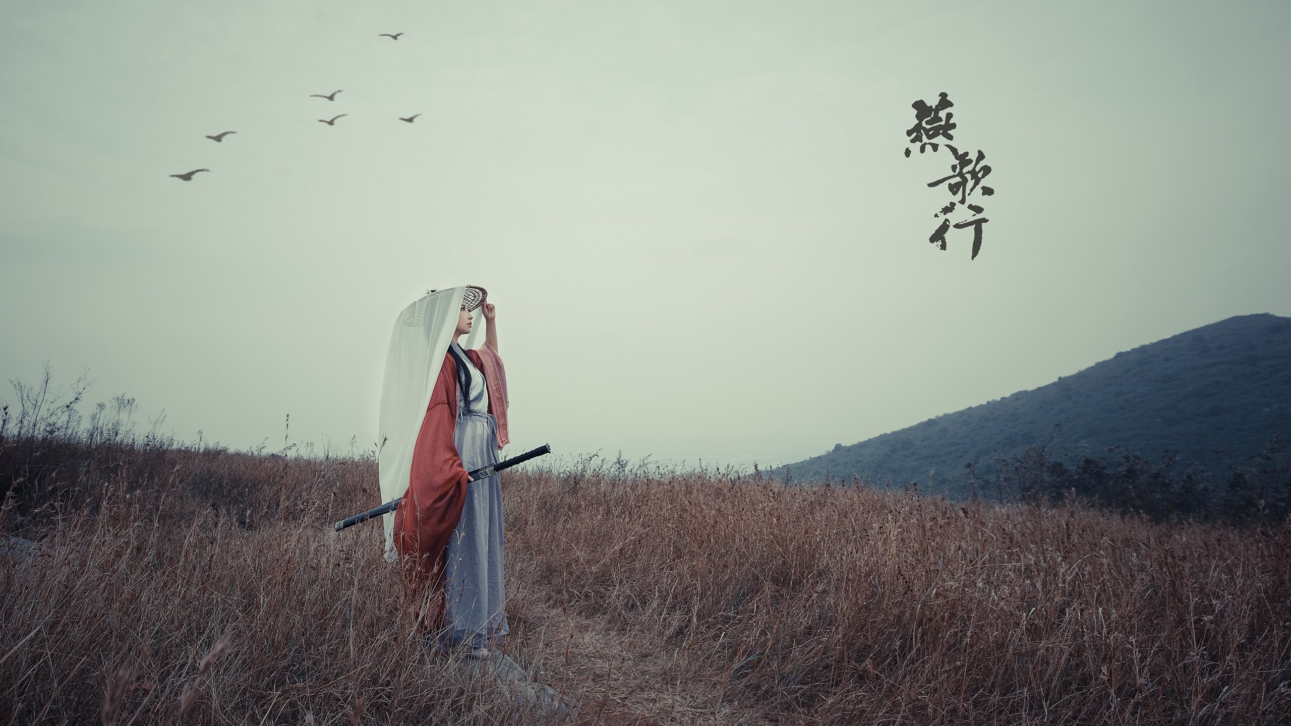 黑山女篮在欧洲锦标赛中表现亮眼,冲击金牌梦想,黑山篮球水平